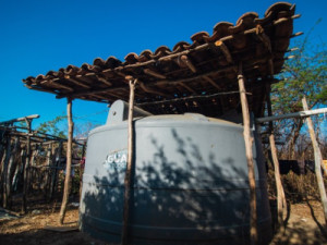 Governo Federal destina R$ 80 milhões para construção de 11 mil cisternas no Ceará; veja cida-des